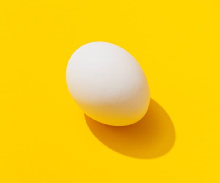 Egg close shot